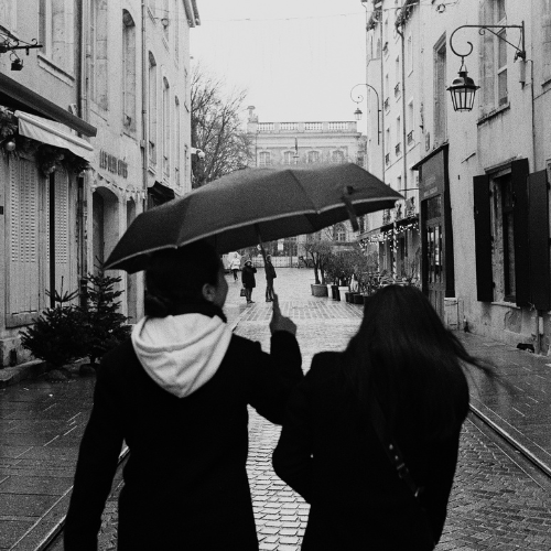 Shared Path — A Caring Community After Loss